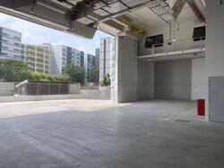 Ct Foodnex (D25), Factory #482804251